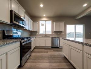 Meet the Newest Reno Homes in Juniper Village by Lifestyle Homes